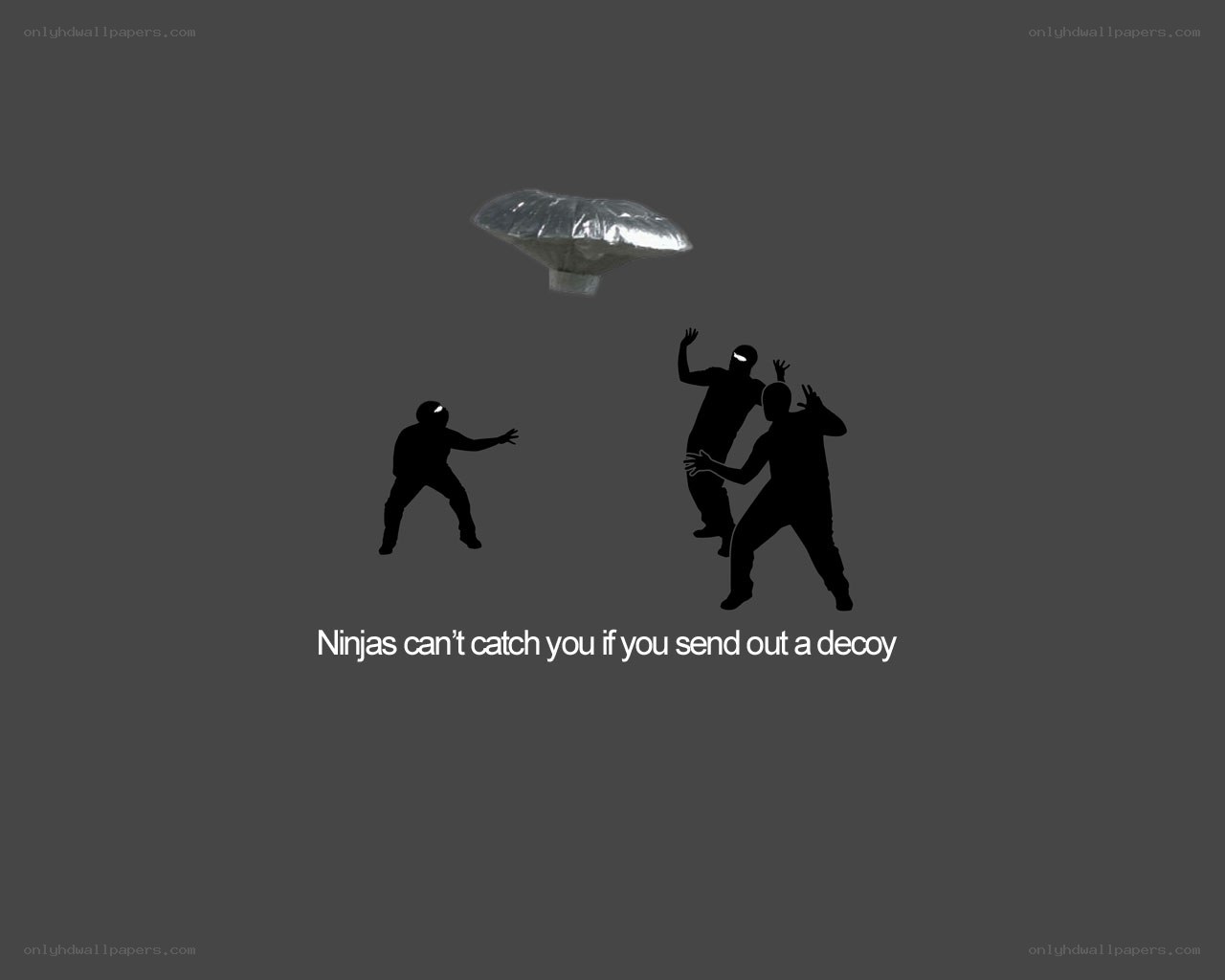 Ninjas and decoy