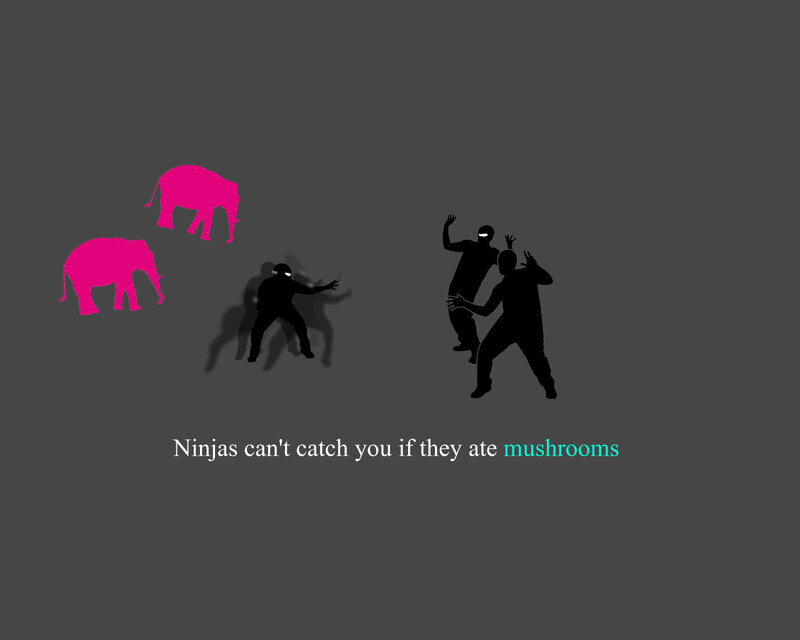 Ninjas and elephants
