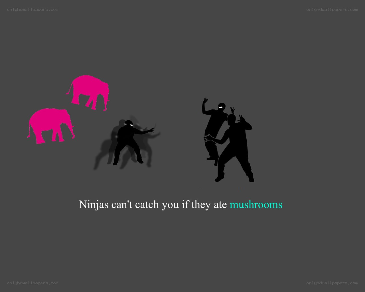 Ninjas and elephants