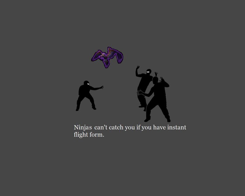 Ninjas and flight form