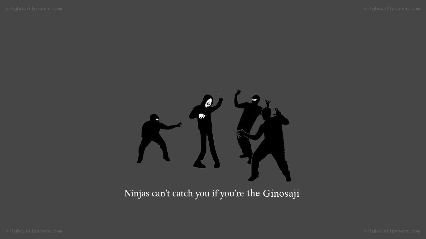 Ninjas and Ginosaji