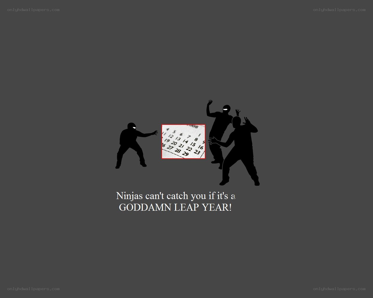 Ninjas and leap year