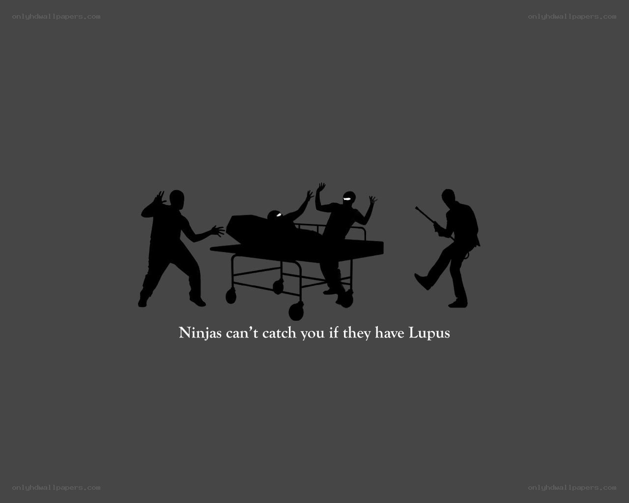 Ninjas and Lupus joke