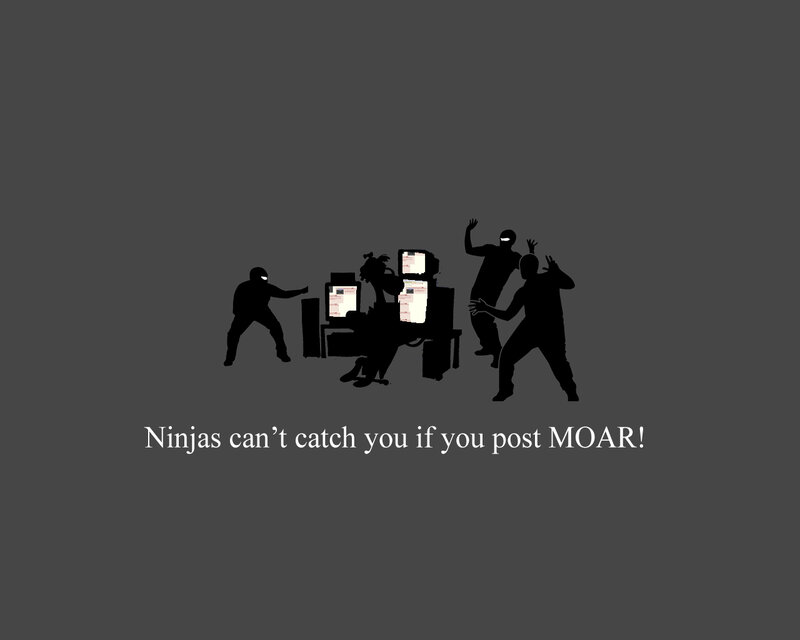 Ninjas and MOAR