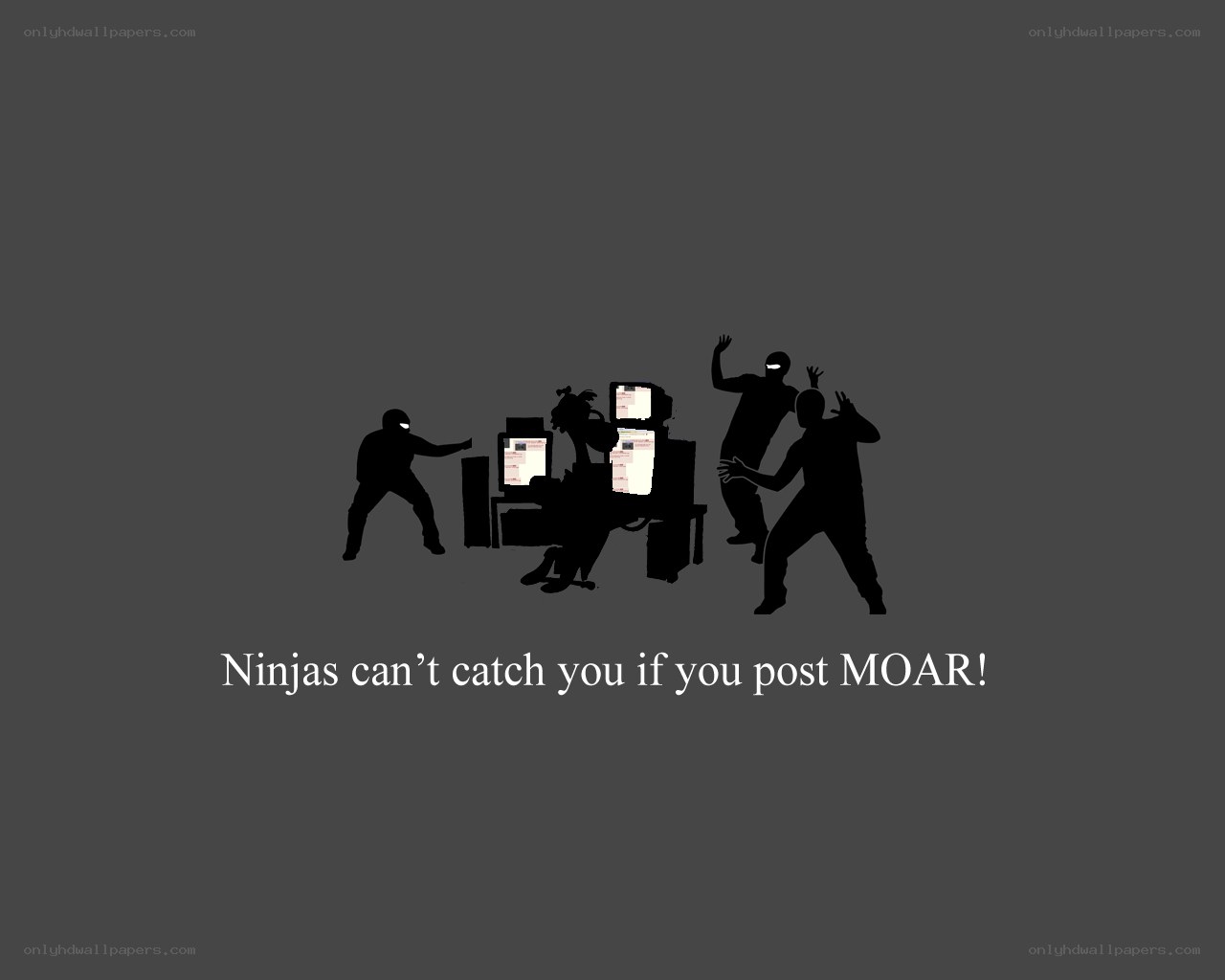 Ninjas and MOAR