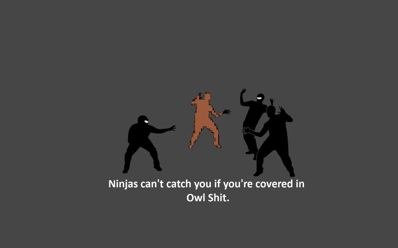 Ninjas and owl shit