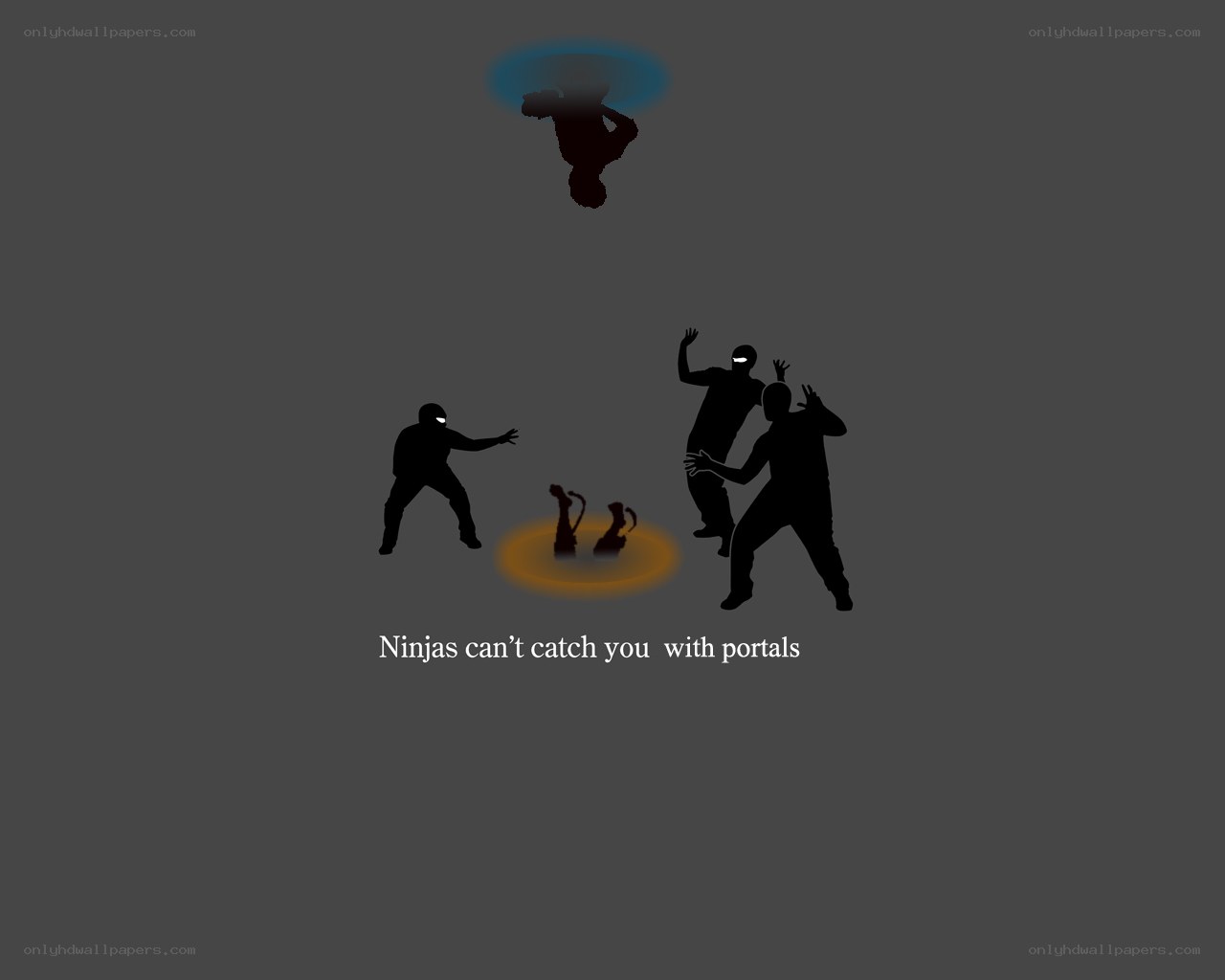 Ninjas and portals
