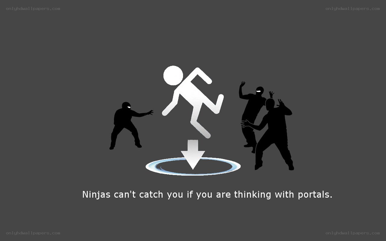 Ninjas and portals