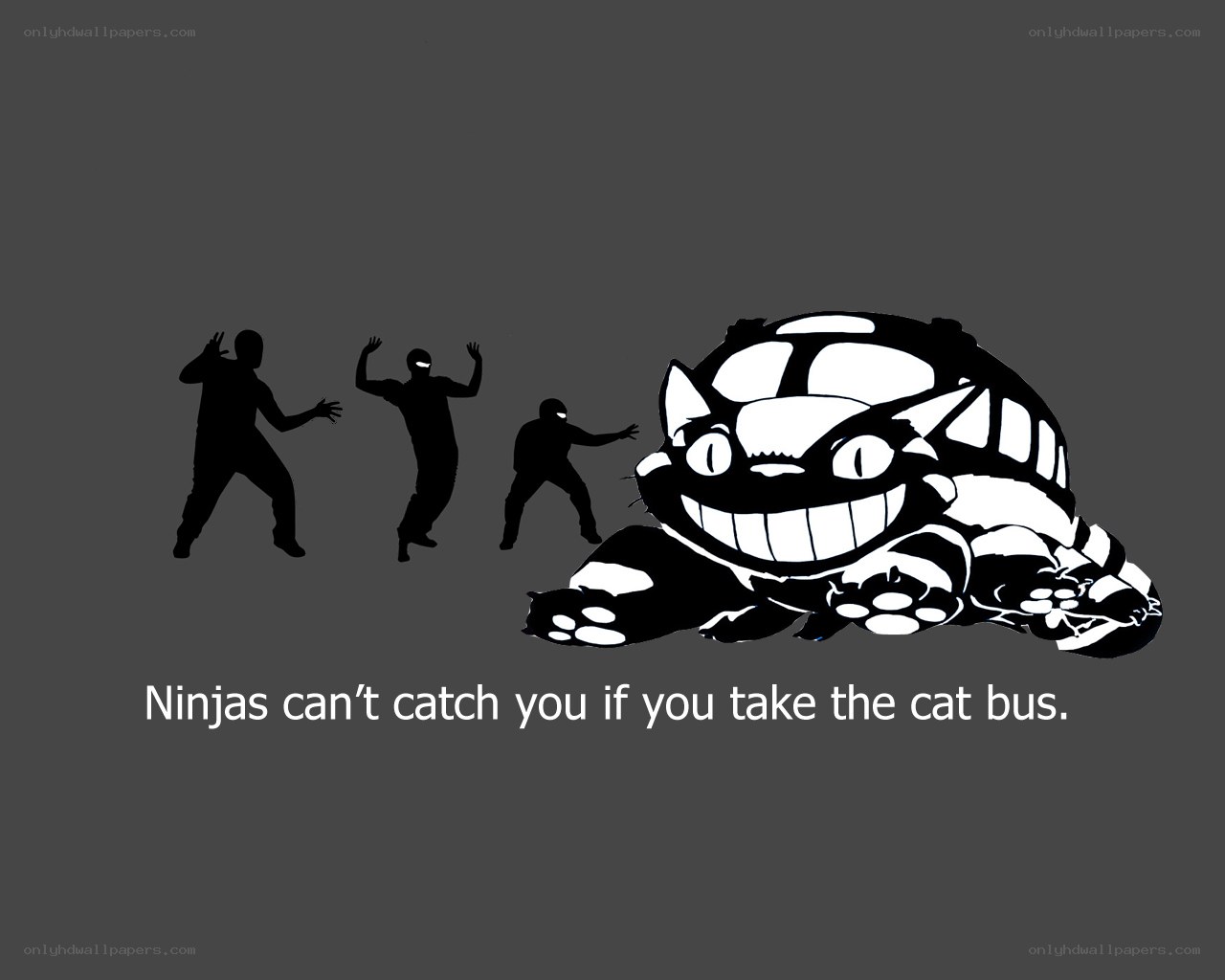 Ninjas and the cat bus