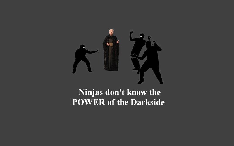 Ninjas and the Darkside