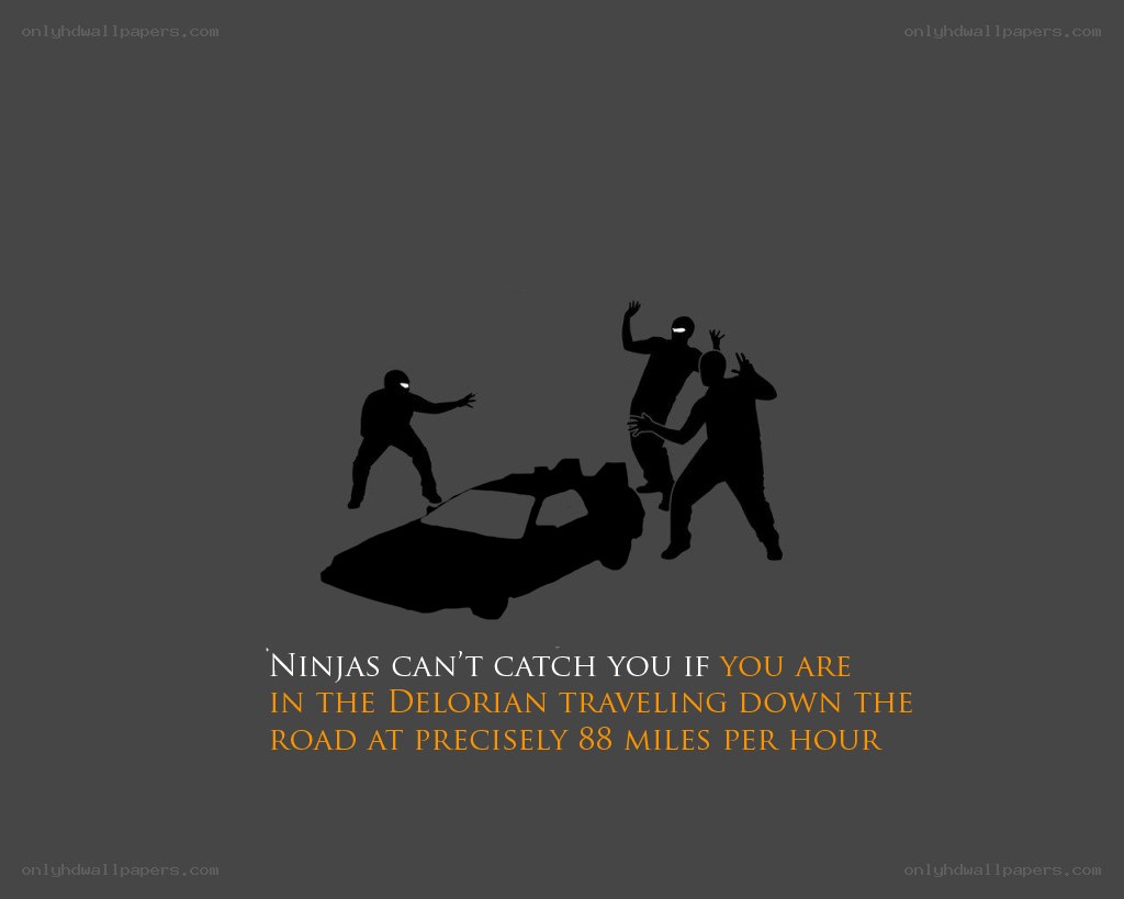 Ninjas and the DeLorean