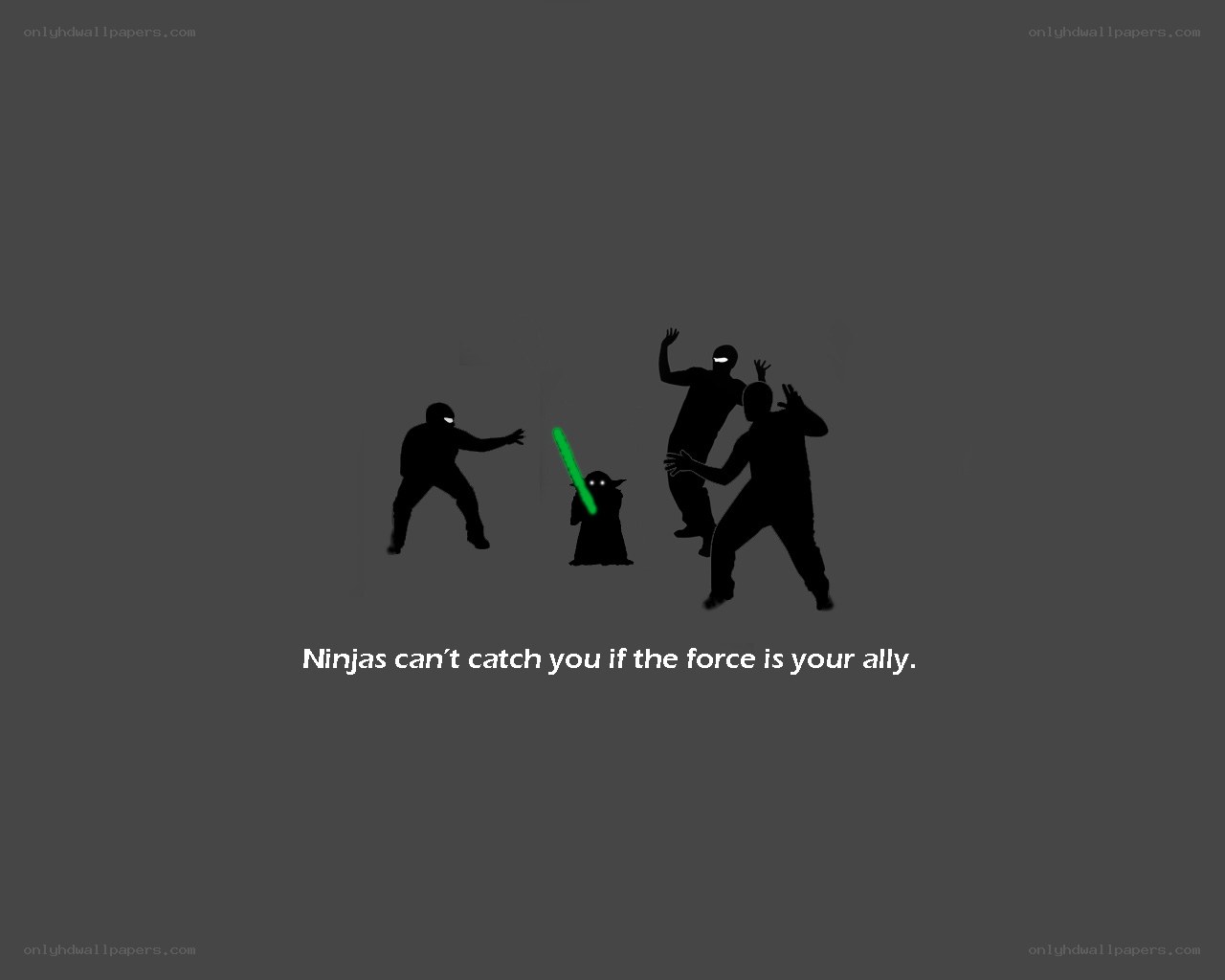 Ninjas and the force