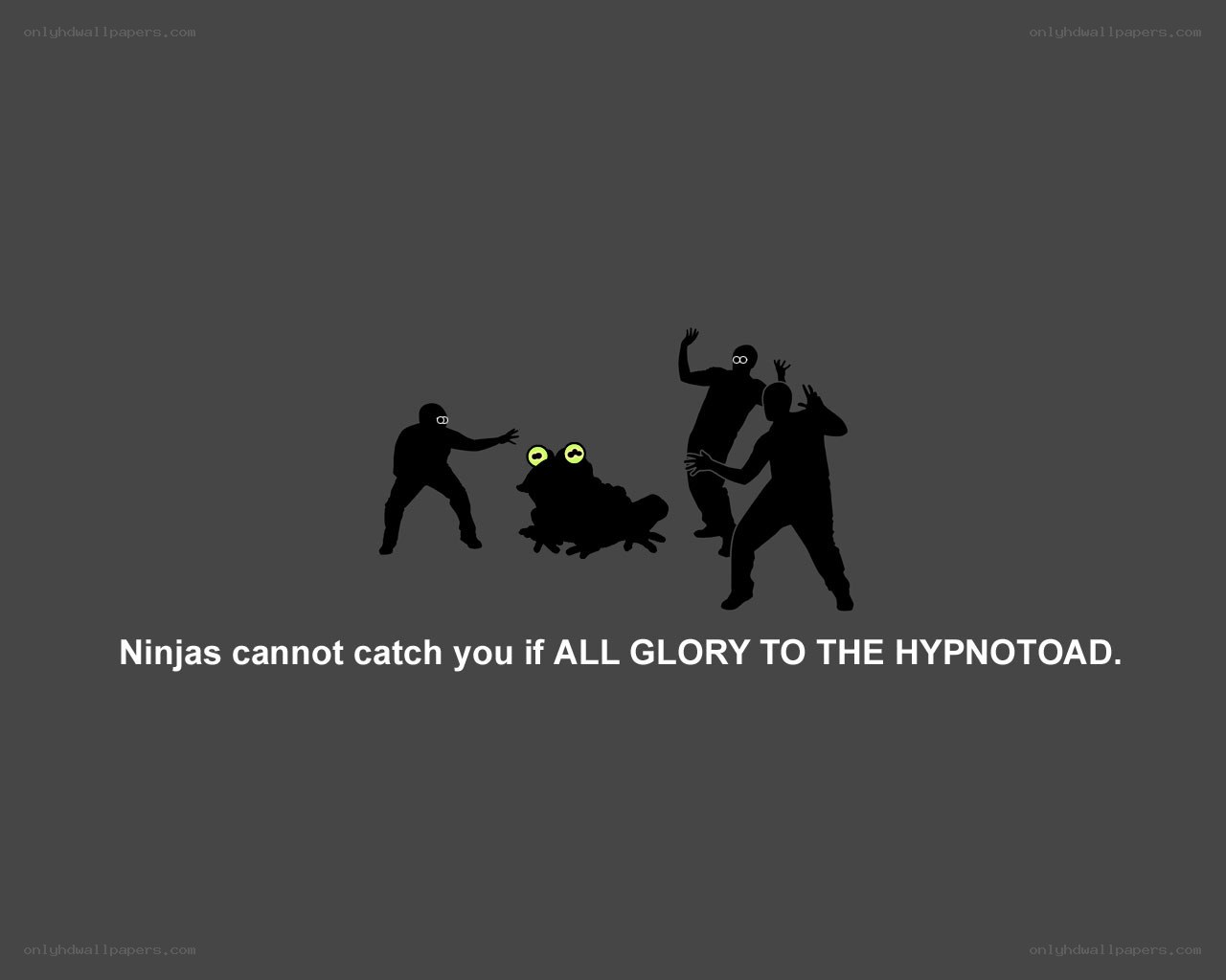 Ninjas and the Hypnotoad