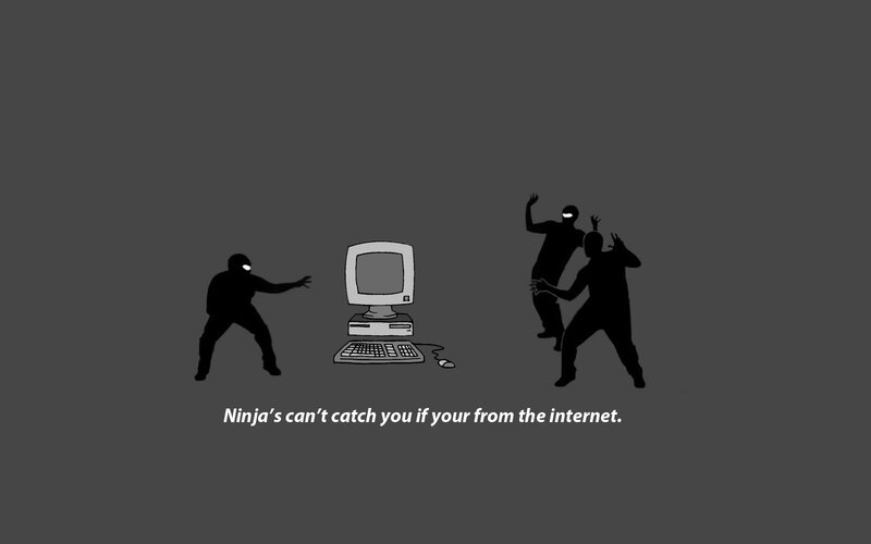 Ninjas and the internet