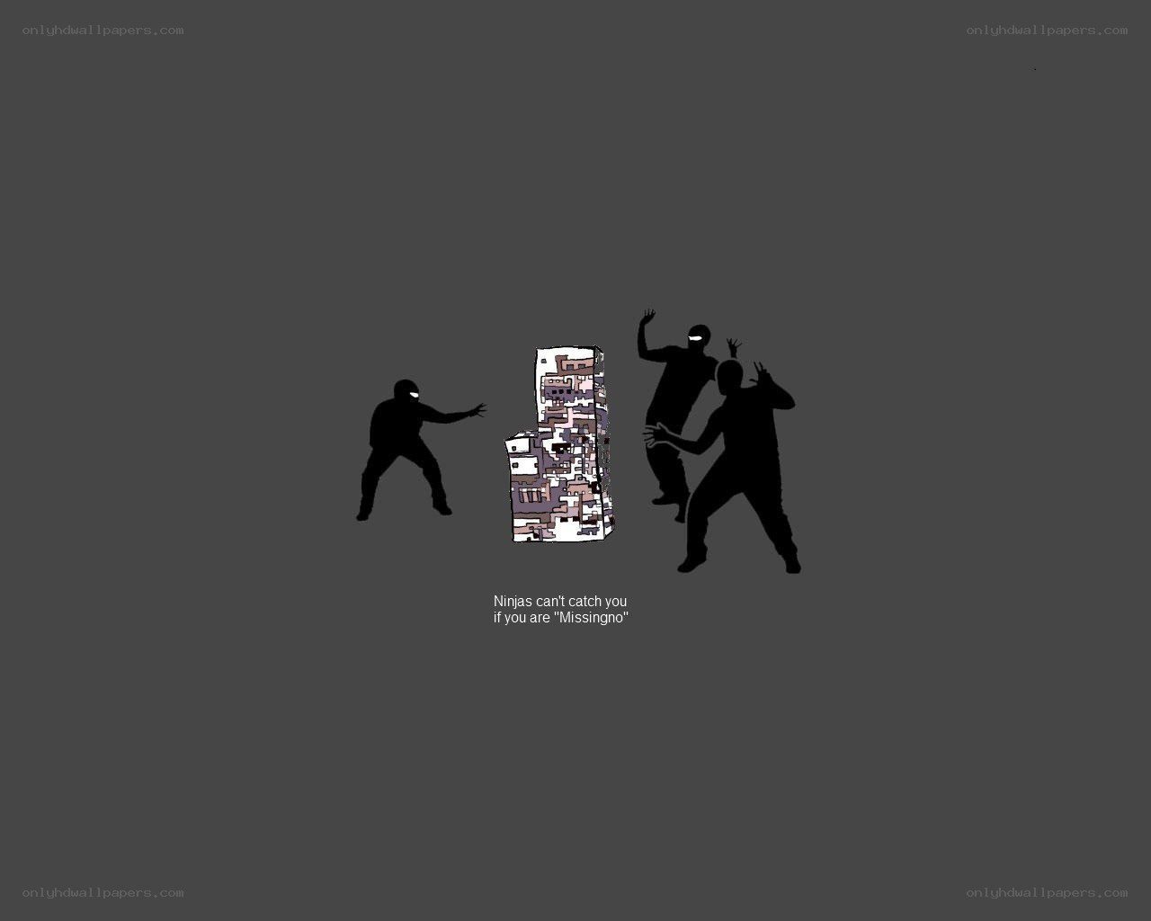Ninjas and the Missingno