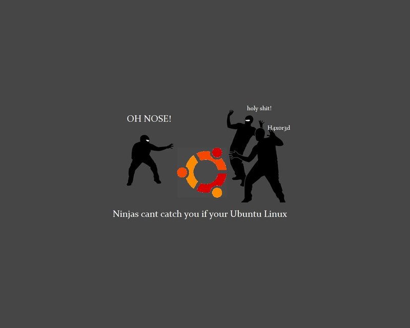 Ninjas and Ubuntu Linux