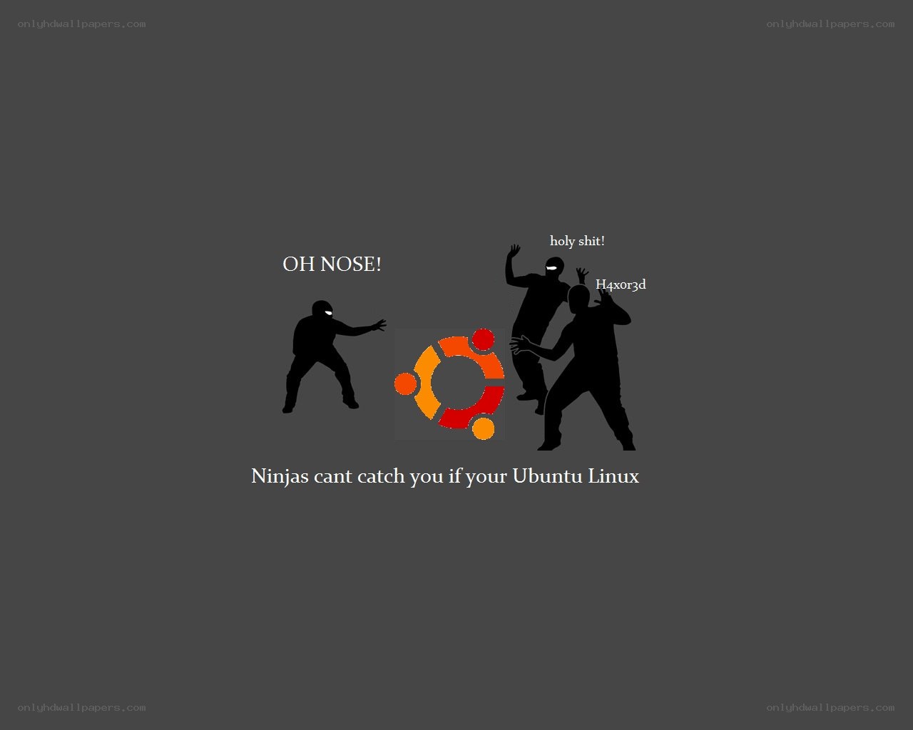 Ninjas and Ubuntu Linux