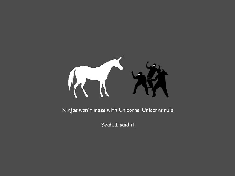 Ninjas and unicorns
