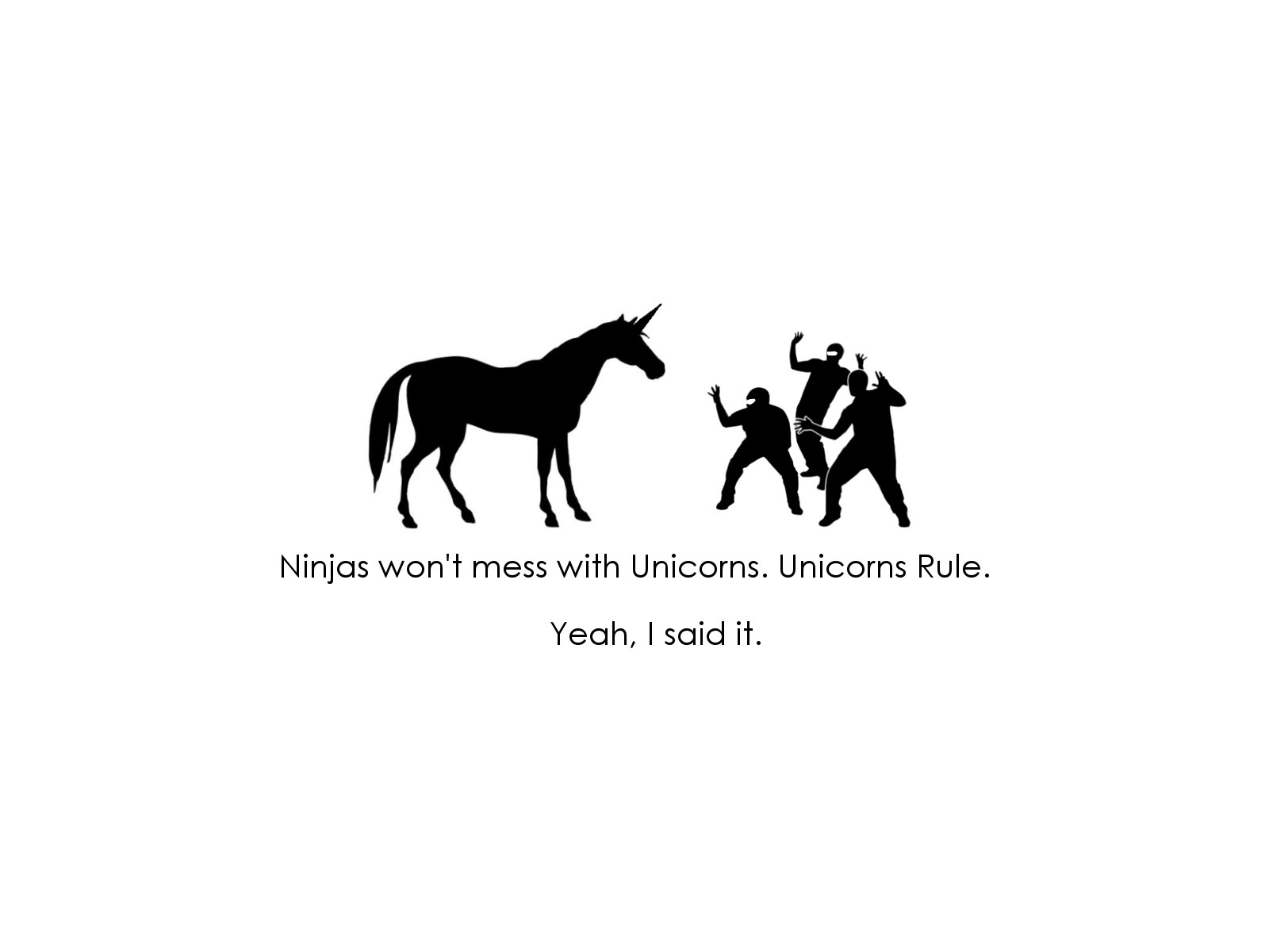 Ninjas and unicorns