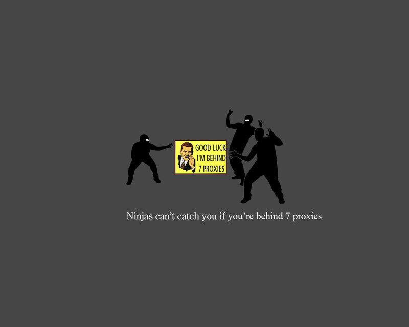 Ninjas behind seven proxies