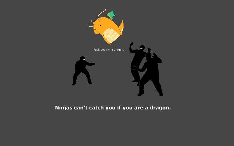 Ninjas can't catch a dragon