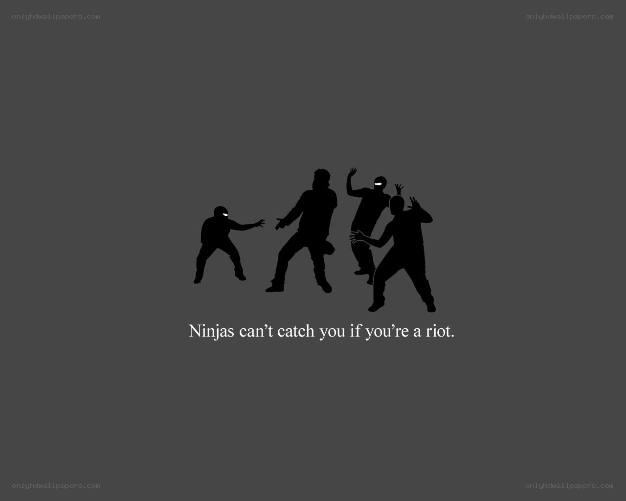 Ninjas can't catch a riot