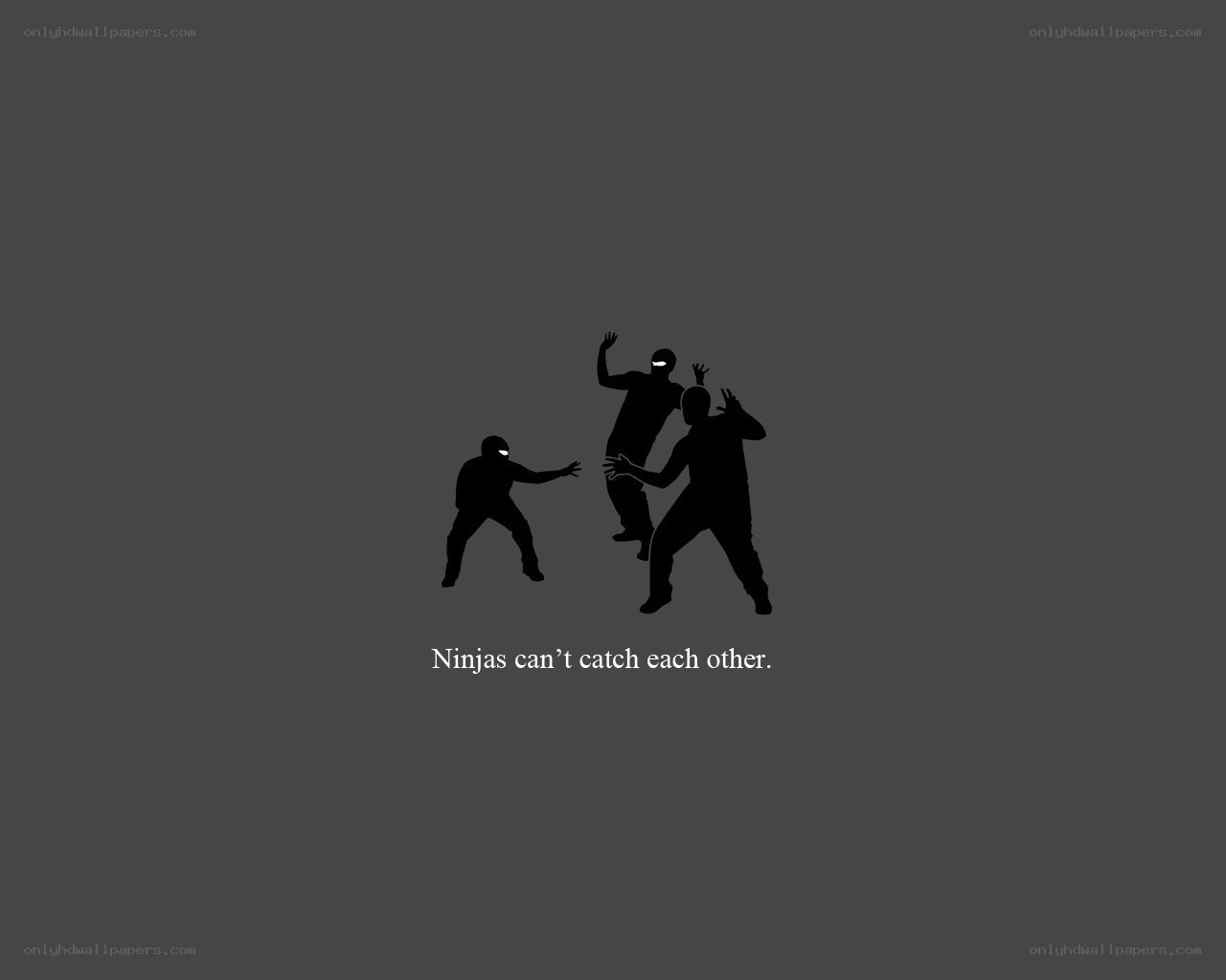 Ninjas can't catch each other