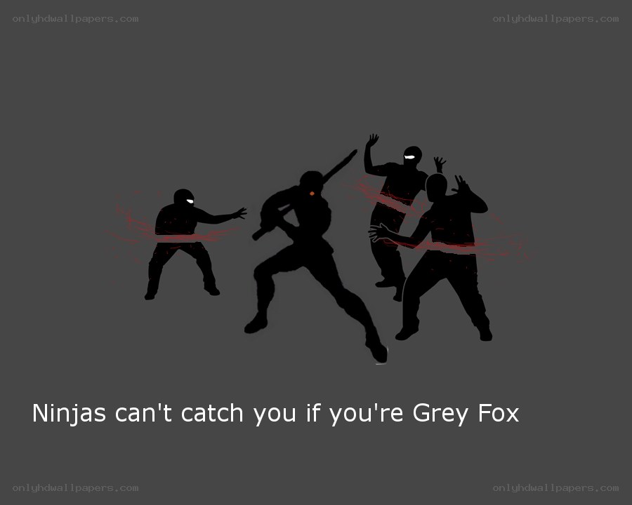 Ninjas can't catch Grey Fox