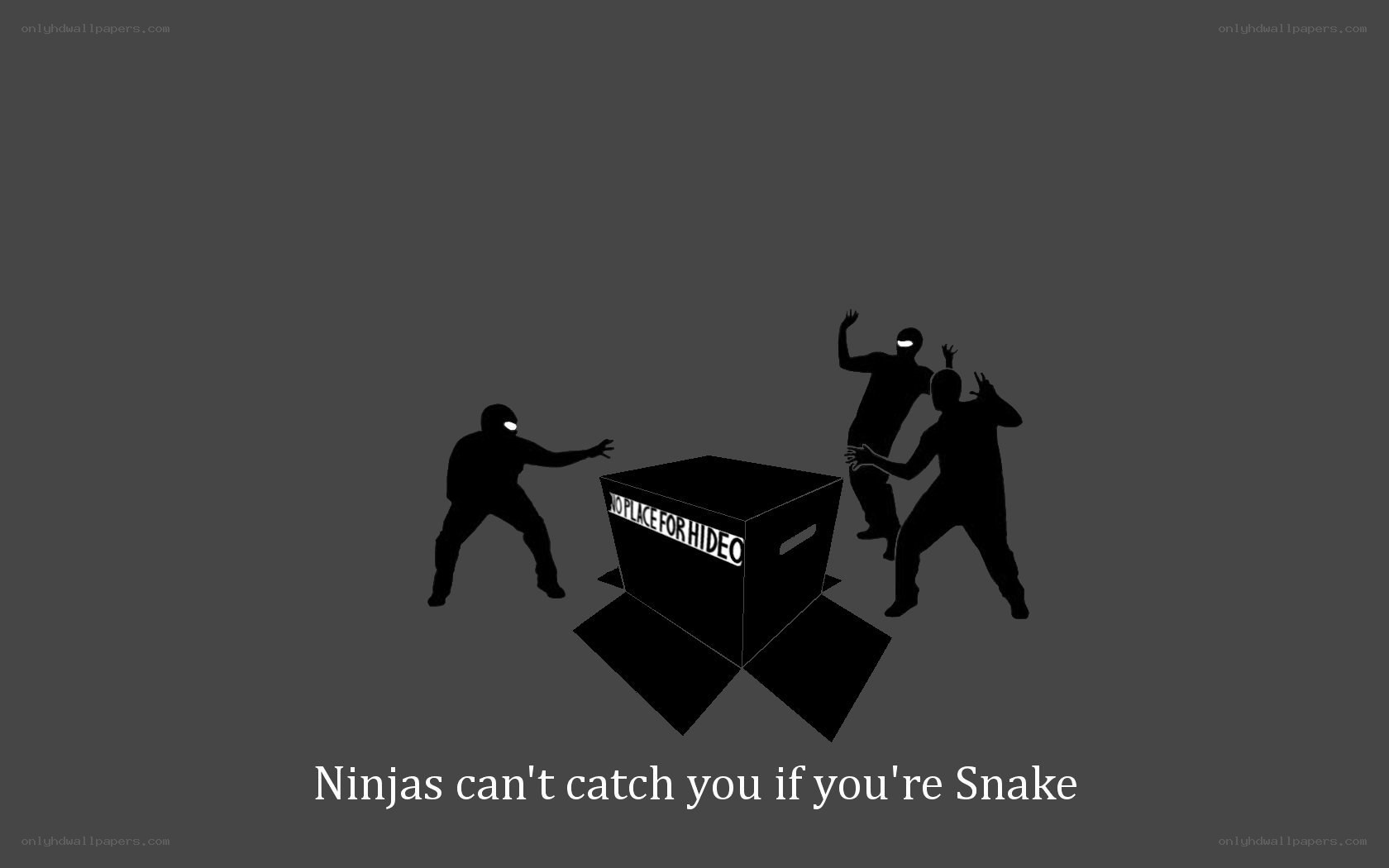 Ninjas can't catch Snake