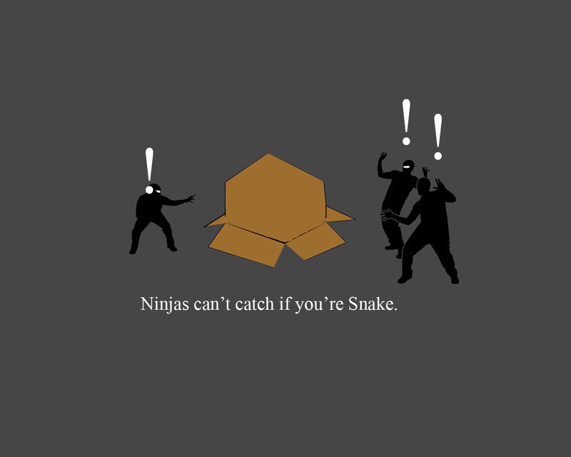 Ninjas can't catch Snake