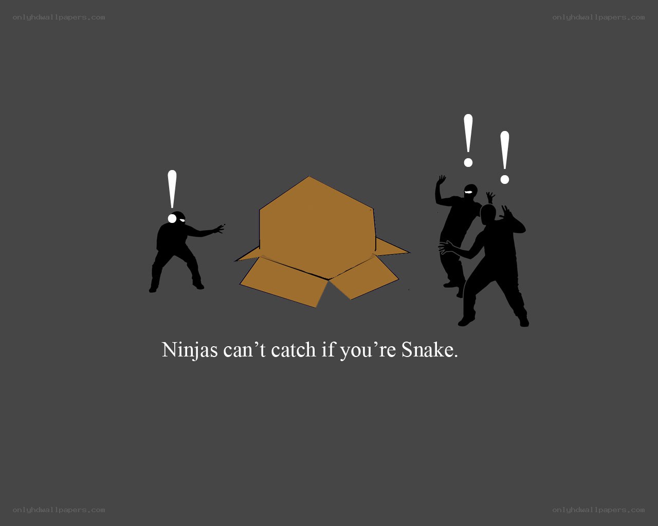 Ninjas can't catch Snake