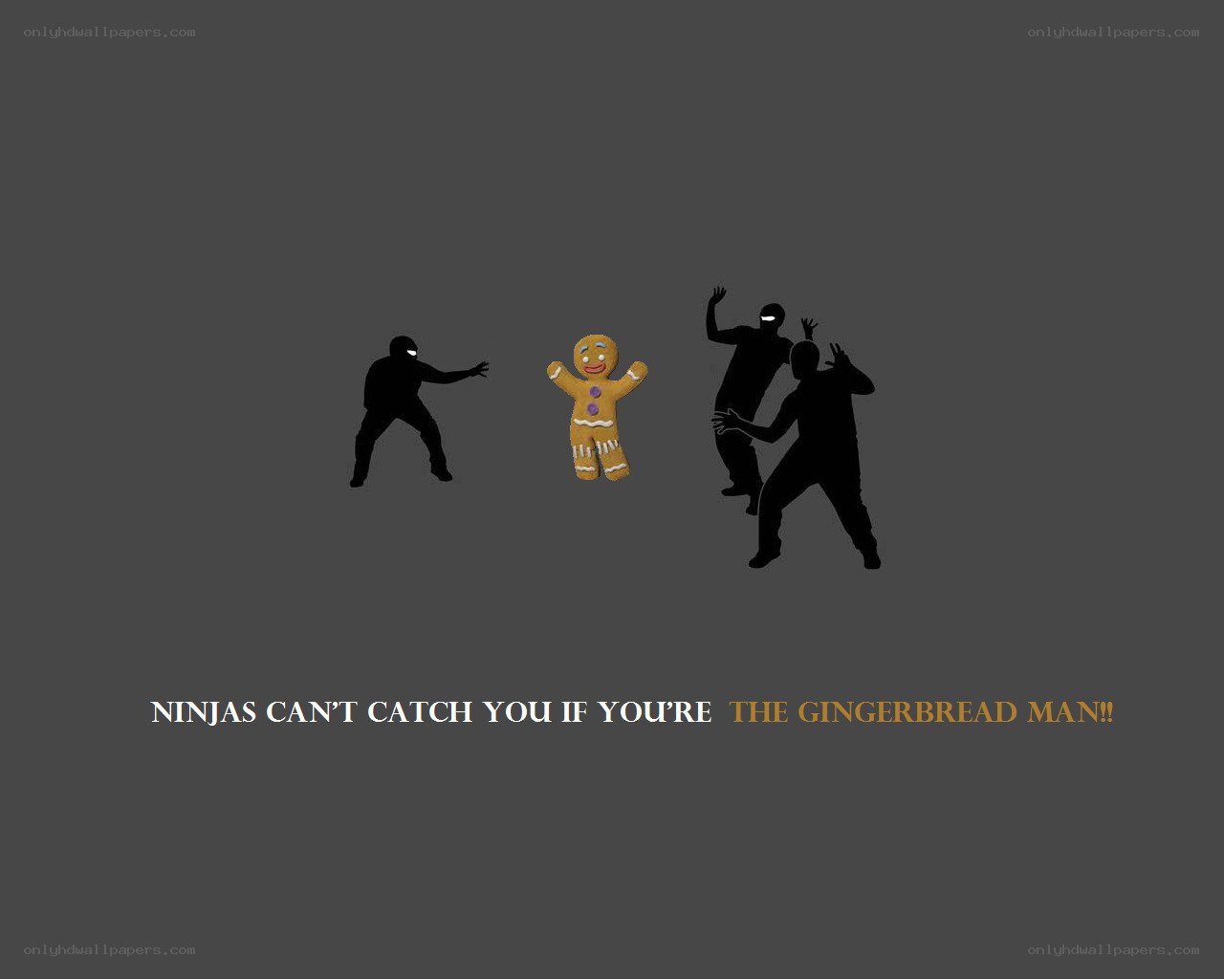 Ninjas can't catch the gingerbread man