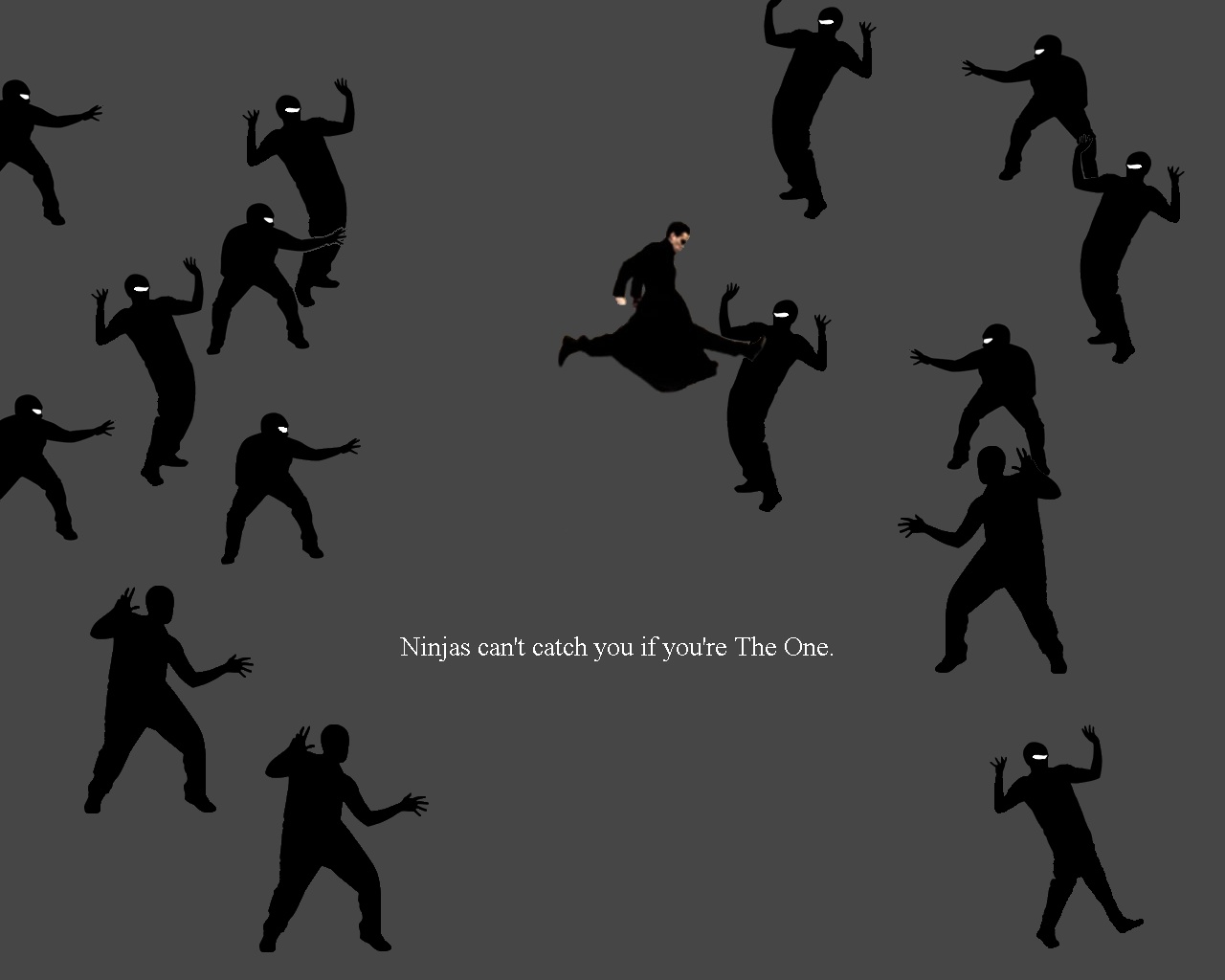 Ninjas can't catch The One