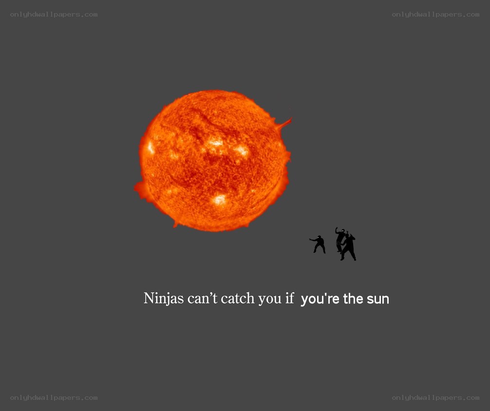 Ninjas can't catch the sun