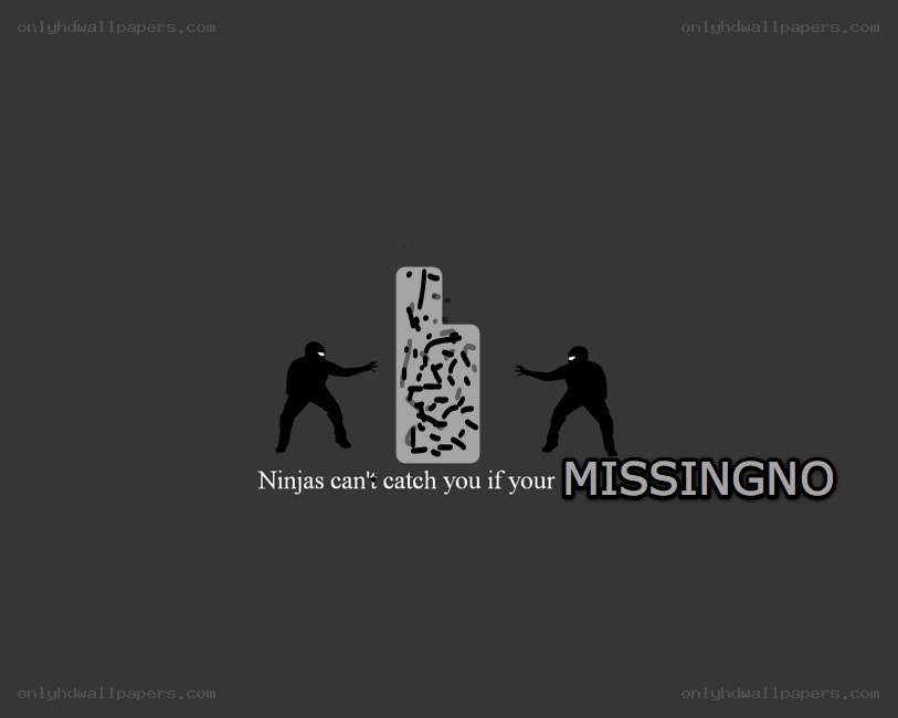 Ninjas can't catch you