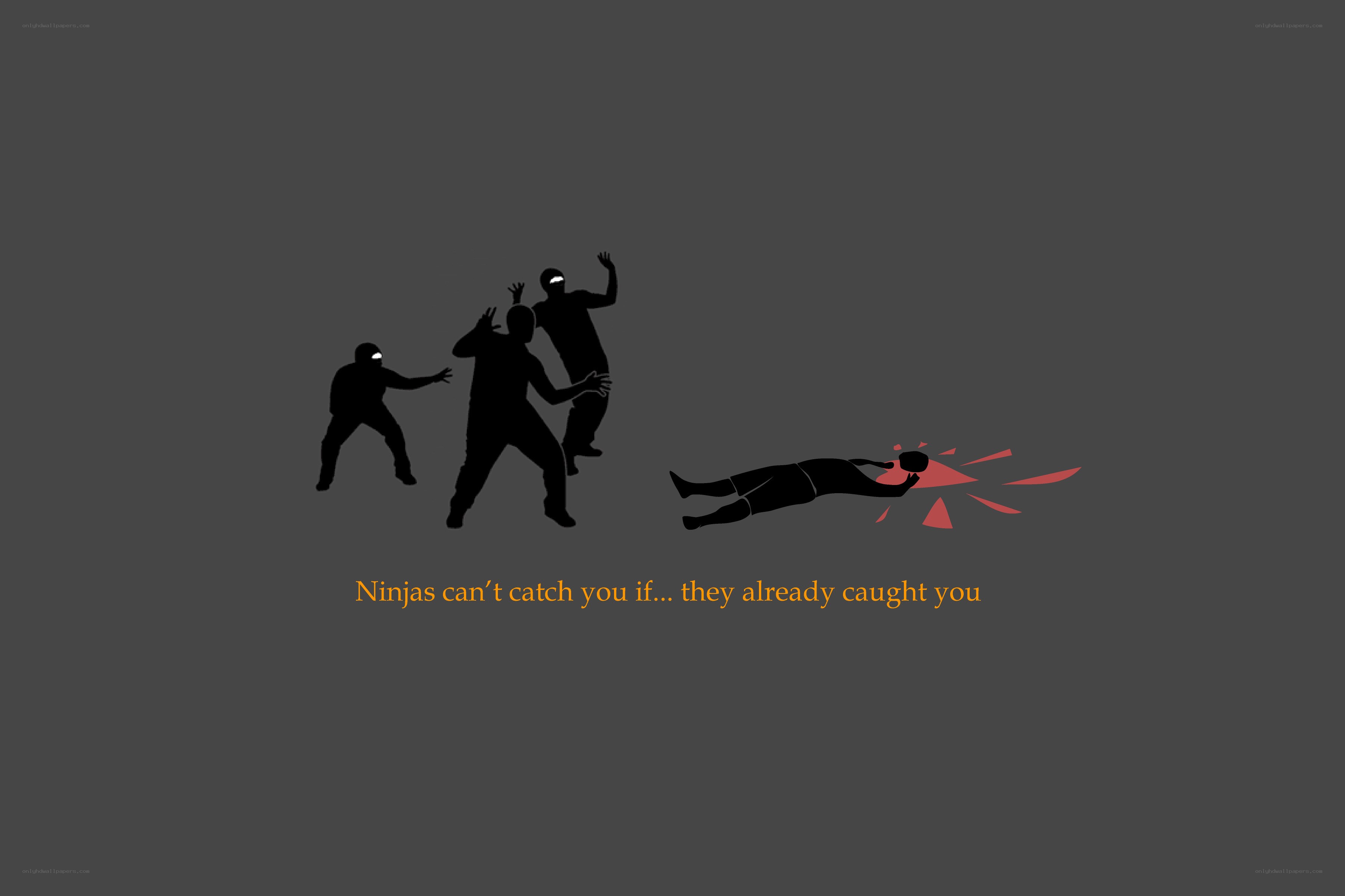 Ninjas can't catch you