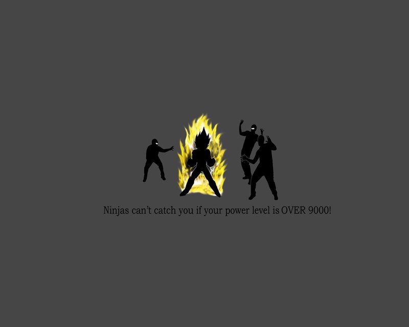 Ninjas can't catch you