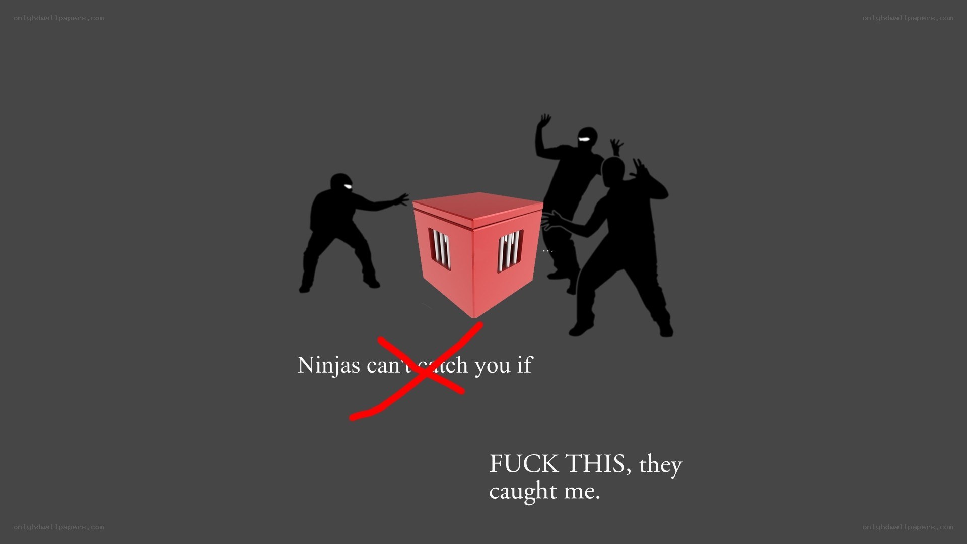 Ninjas can't catch you