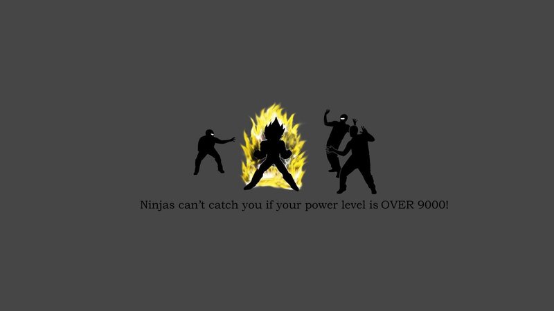 Ninjas can't catch you