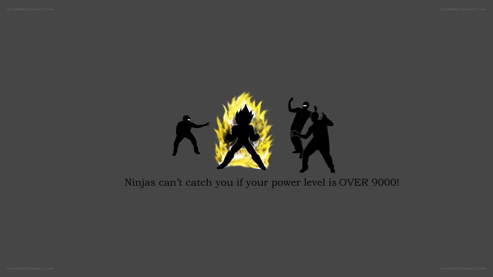 Ninjas can't catch you