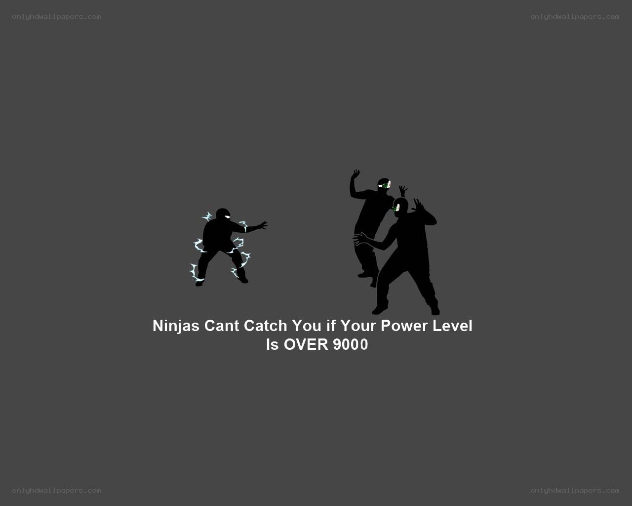 Ninjas Can't Catch You