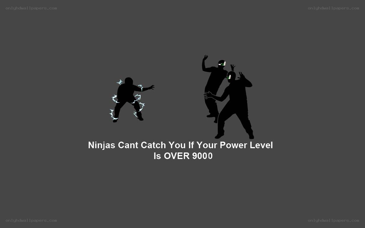 Ninjas Can't Catch You