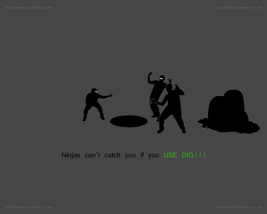 Ninjas can't catch you