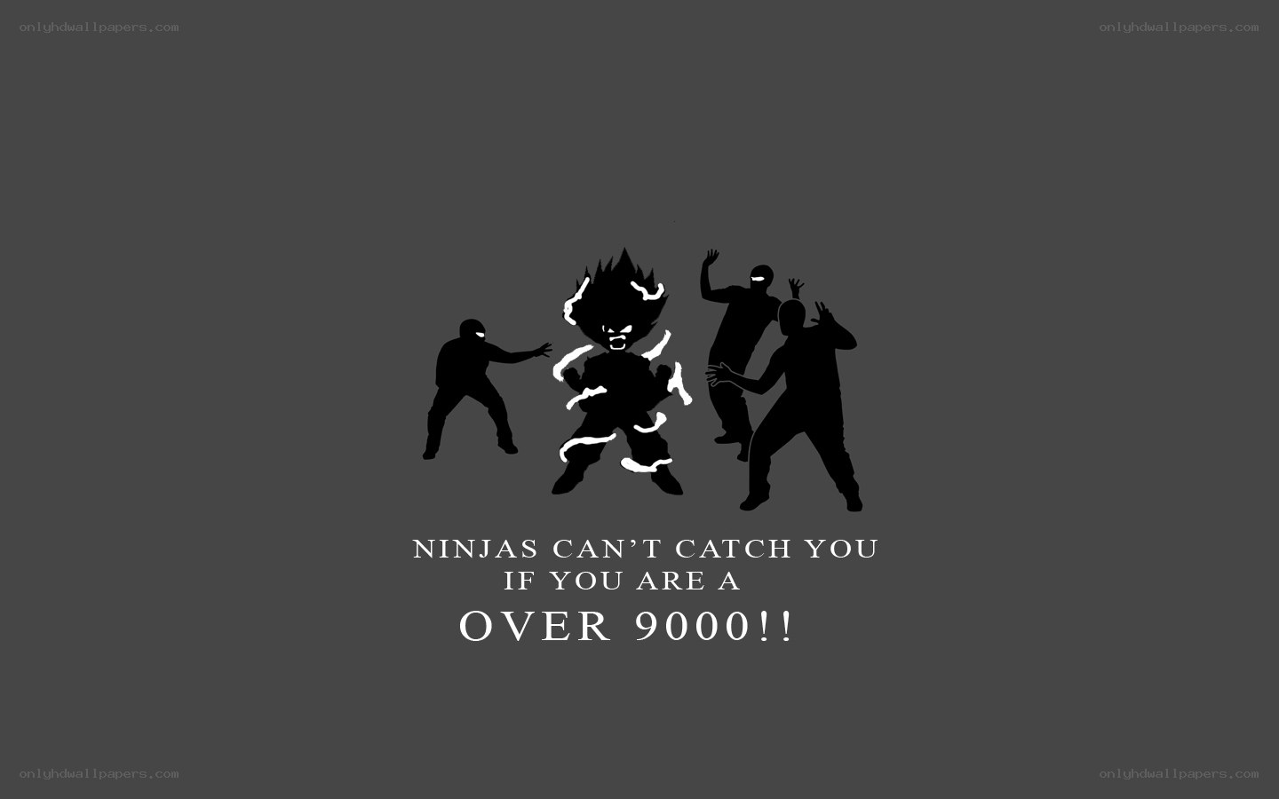 Ninjas can't catch you