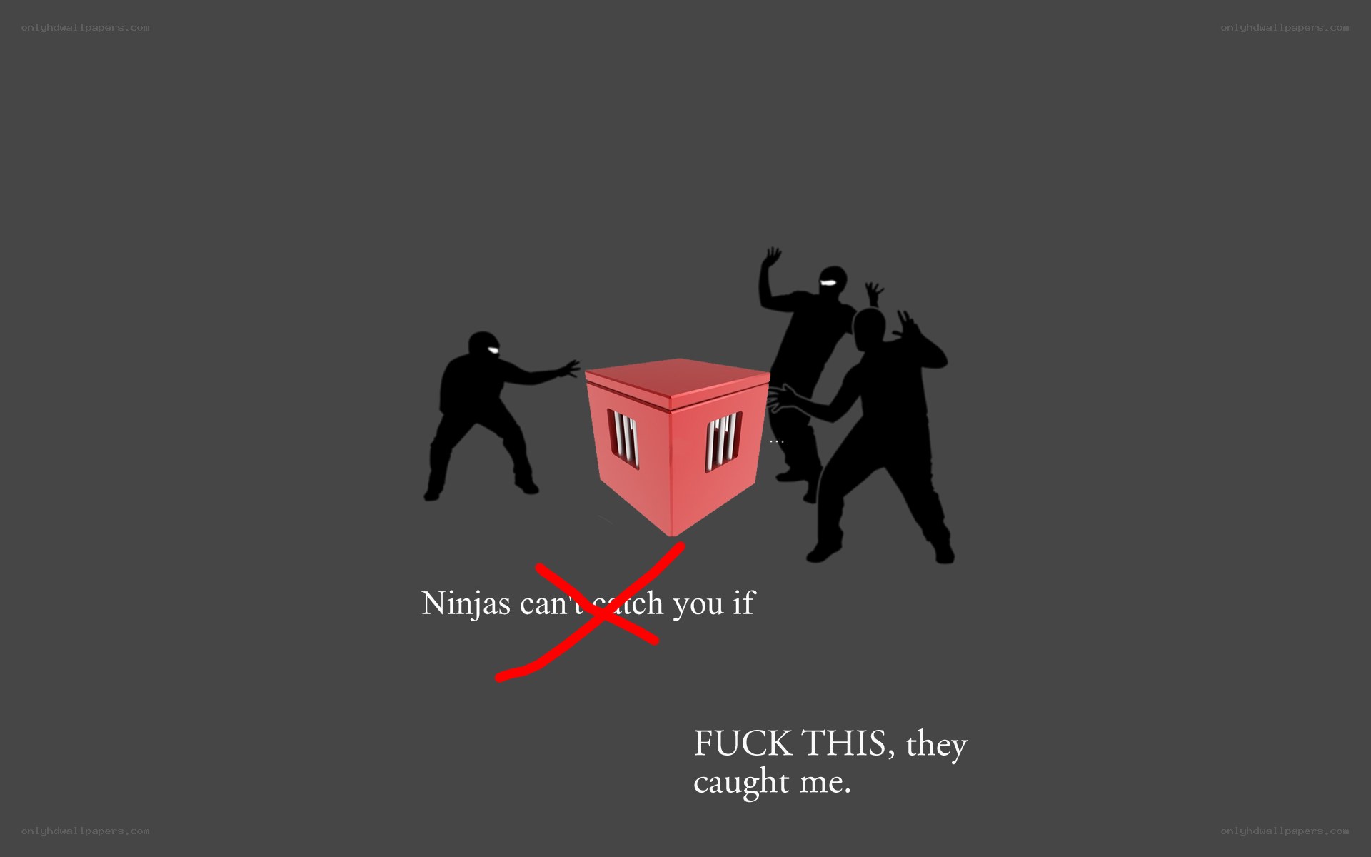 Ninjas can't catch you
