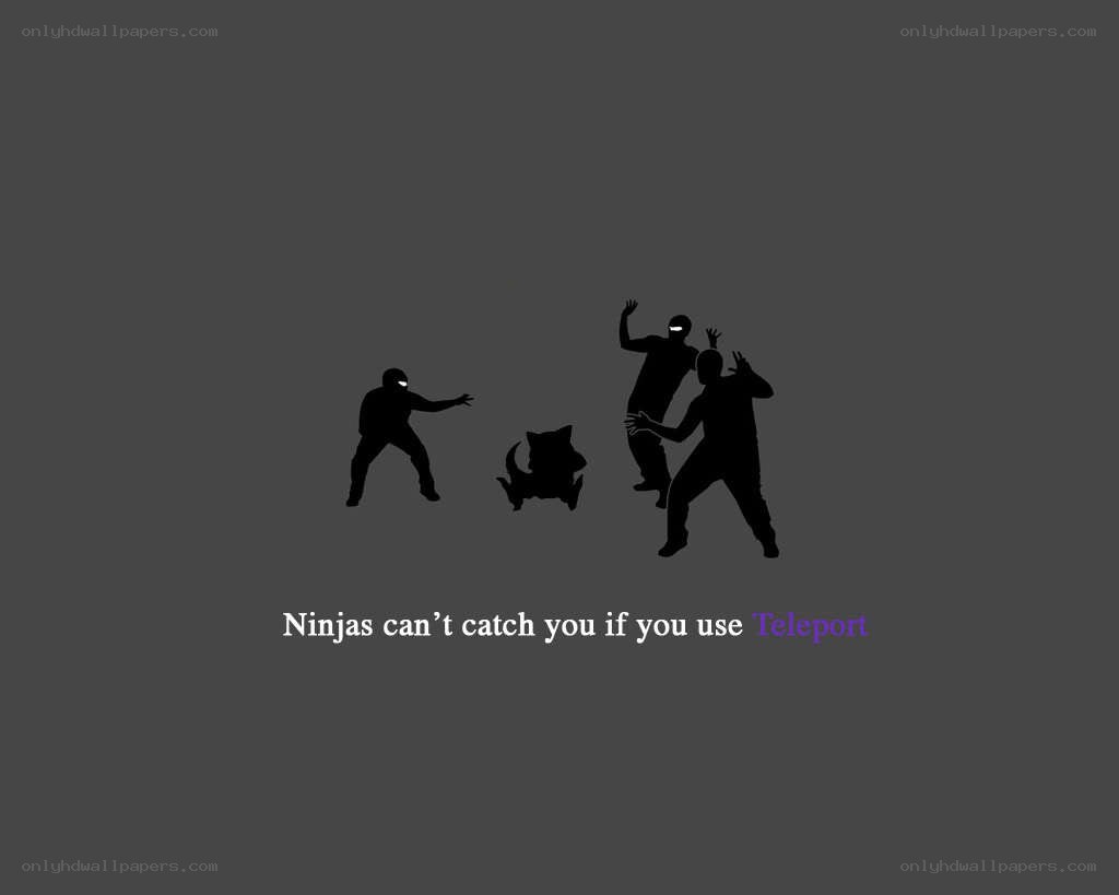 Ninjas can't catch you
