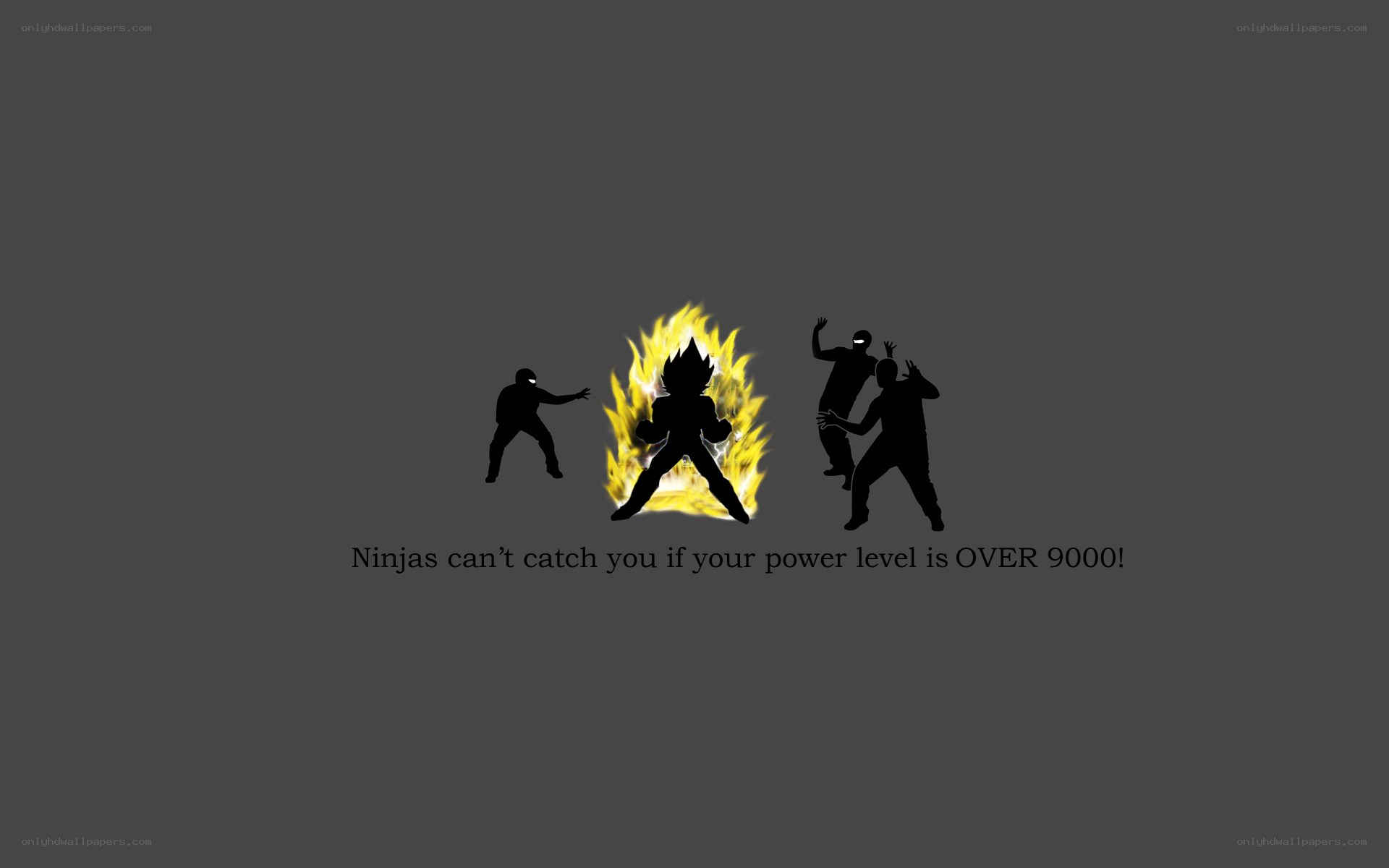 Ninjas can't catch you