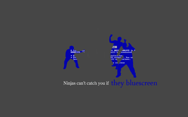 Ninjas can't catch you if they bluescreen