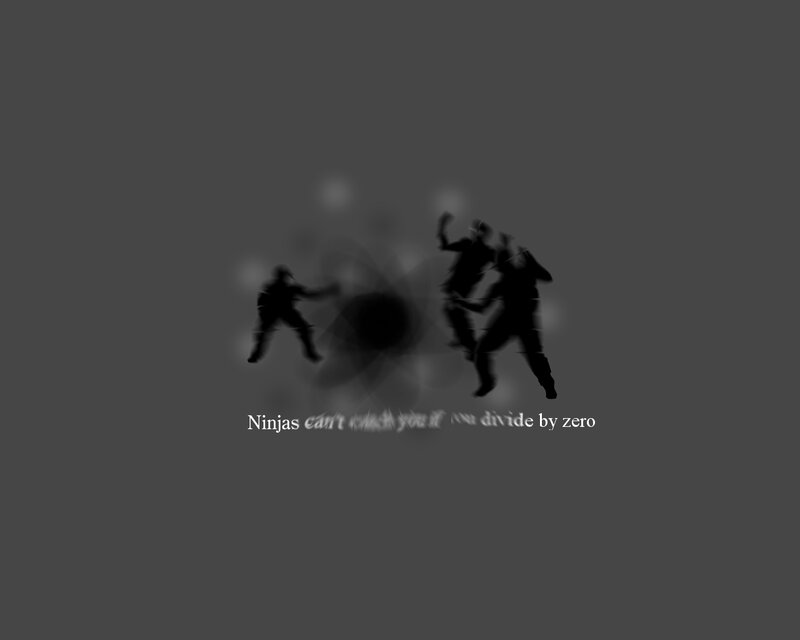 Ninjas can't divide by zero