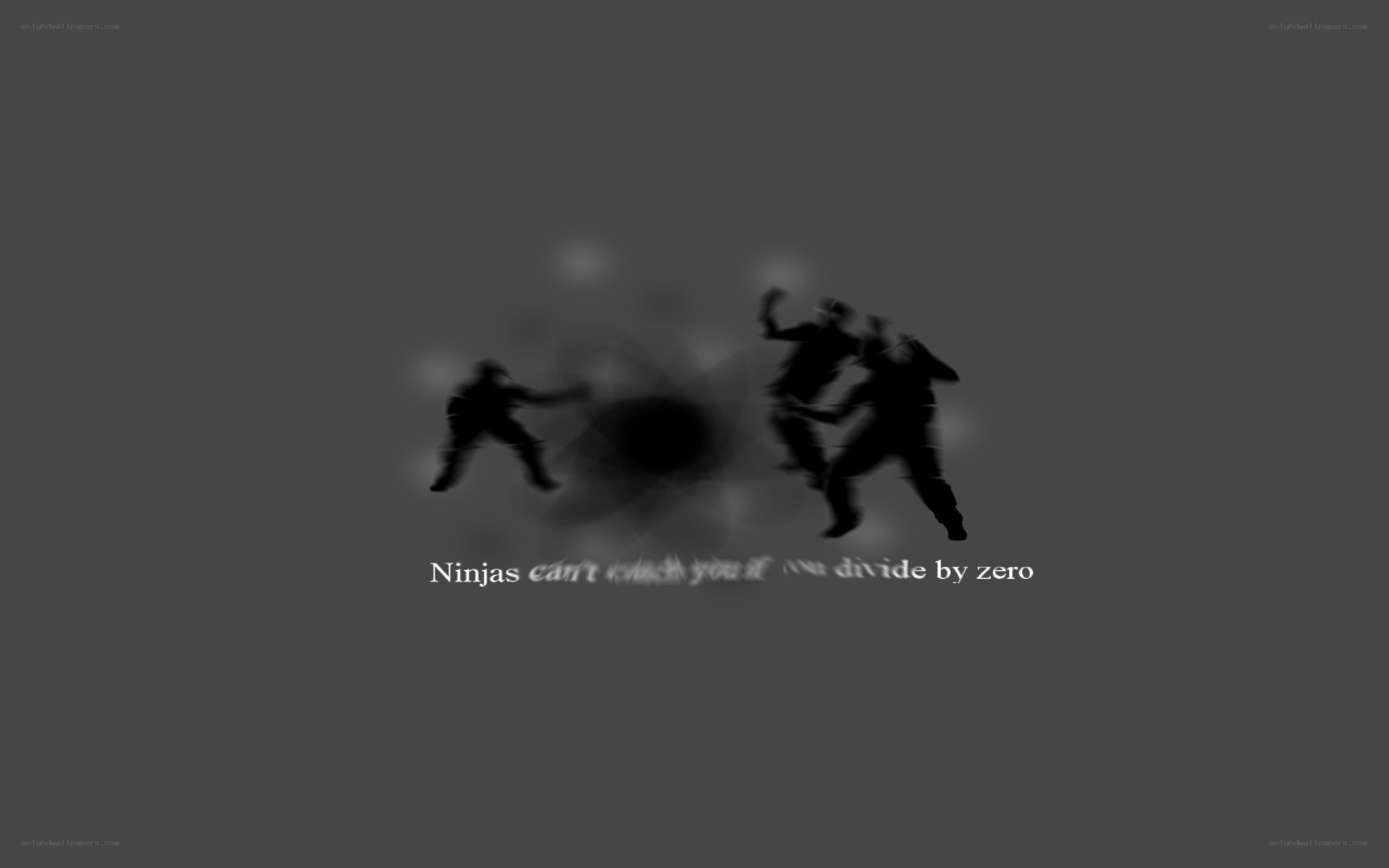 Ninjas can't divide by zero